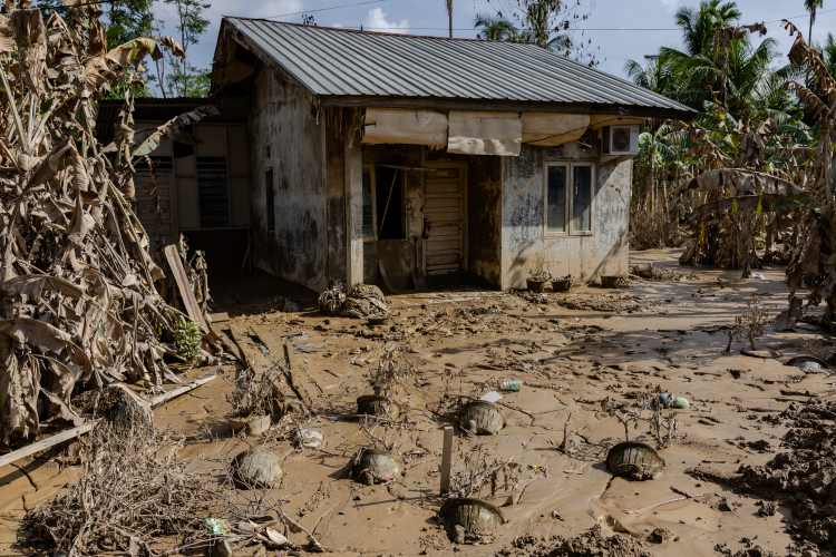 Aftermath Flash Floods in Indonesia's Sumatra