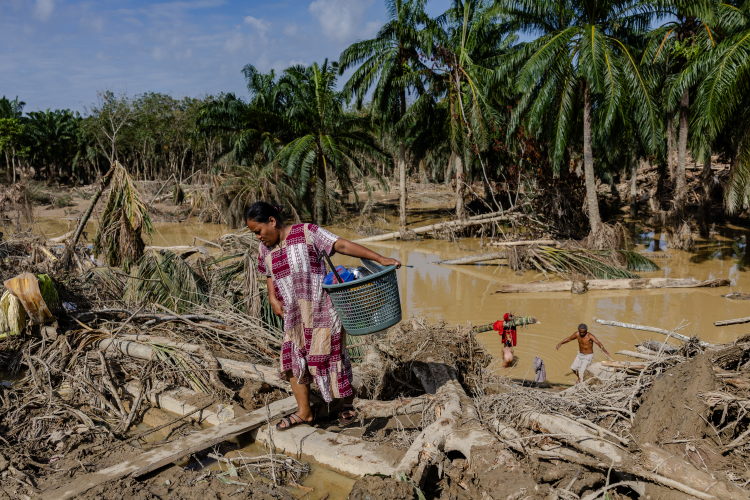 Aftermath Flash Floods in Indonesia's Sumatra