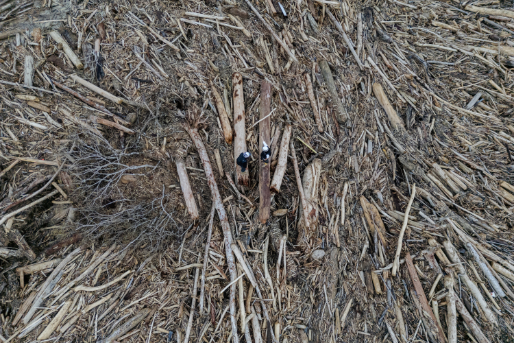 Aftermath Flash Floods in Indonesia's Sumatra