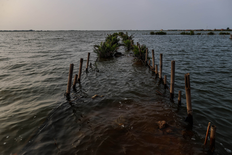 Sea Levels-Garry Lotulung-014