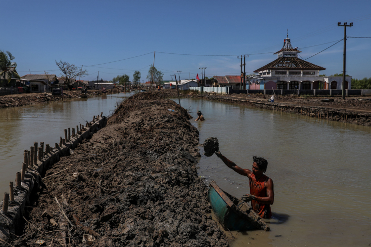 Sea Levels-Garry Lotulung-019