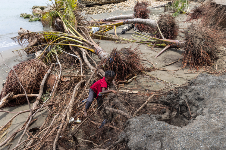 Indonesias Drowning Land