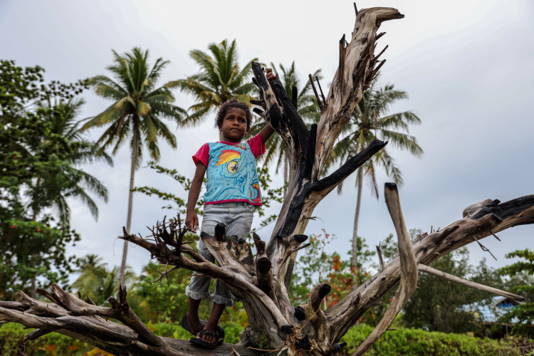 A girl plays on a remains of a tree, that has fallen due to the rising sea levels and coastal erosion in Werur Raya Village, Tambrauw Regency, Southwest Papua, March 24, 2023.