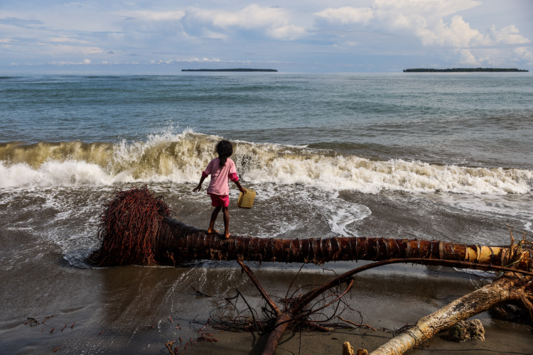 A girl plays on a remains of a coconut tree, that has fallen due to the rising sea levels and coastal erosion in Werur Raya Village, Tambrauw Regency, Southwest Papua, March 22, 2023.