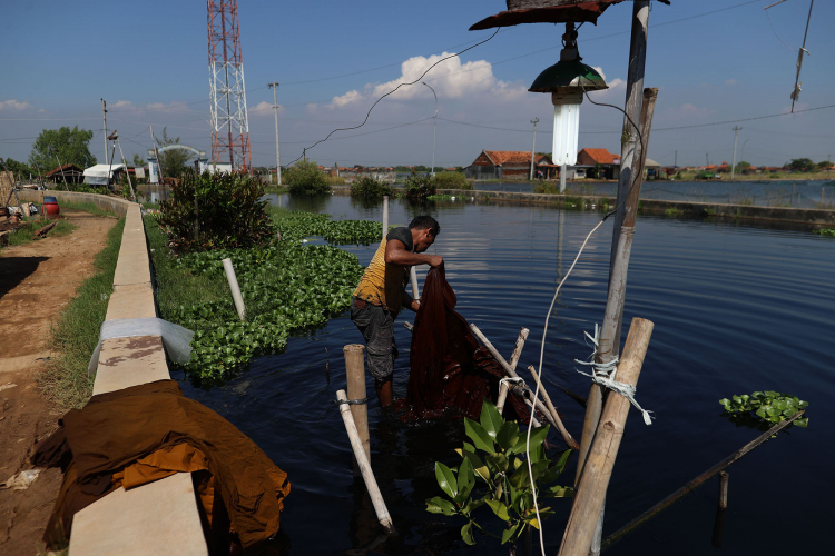 Polluted River-Garry Lotulung-018