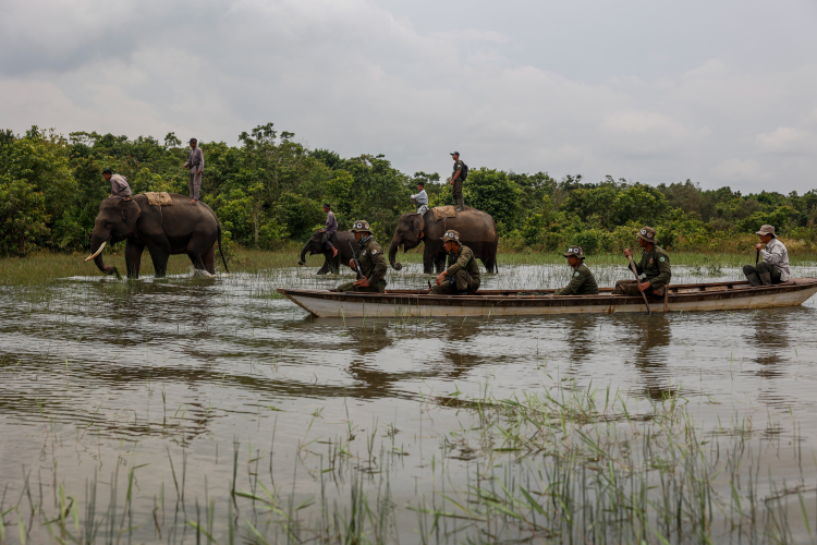 Camp ERU (Elephant Respons Unit) Bungur TN Way Kambas