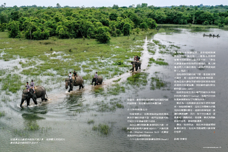 Sumatran Elephant in Rhythms Monthly Magazine