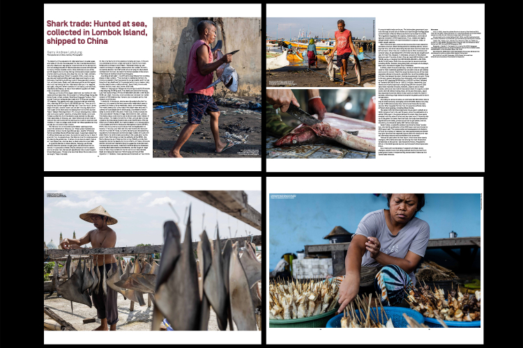 IUCN-Hunted-at-sea-sold-worldwide-Inside-the-global-shark-trade-1