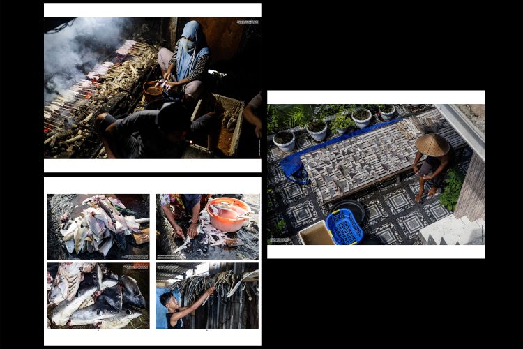 IUCN-Hunted-at-sea-sold-worldwide-Inside-the-global-shark-trade-2