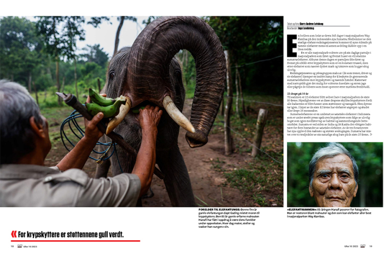 Sumatran Elephant in Vi Menn Magazine