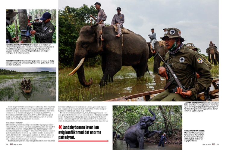 Sumatran Elephant in Vi Menn Magazine